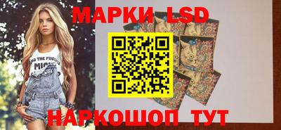 шишки Будённовск
