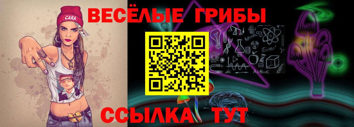 Галлюциногенные грибы Psilocybe Архангельск